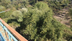 Struttura Alberghiera su 3 livelli